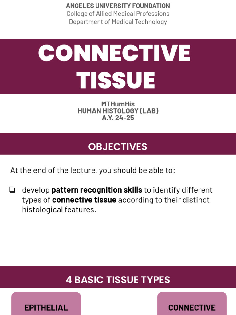 (STUDENT COPY) MTHumHis Lab - CONNECTIVE TISSUE | PDF | Connective ...
