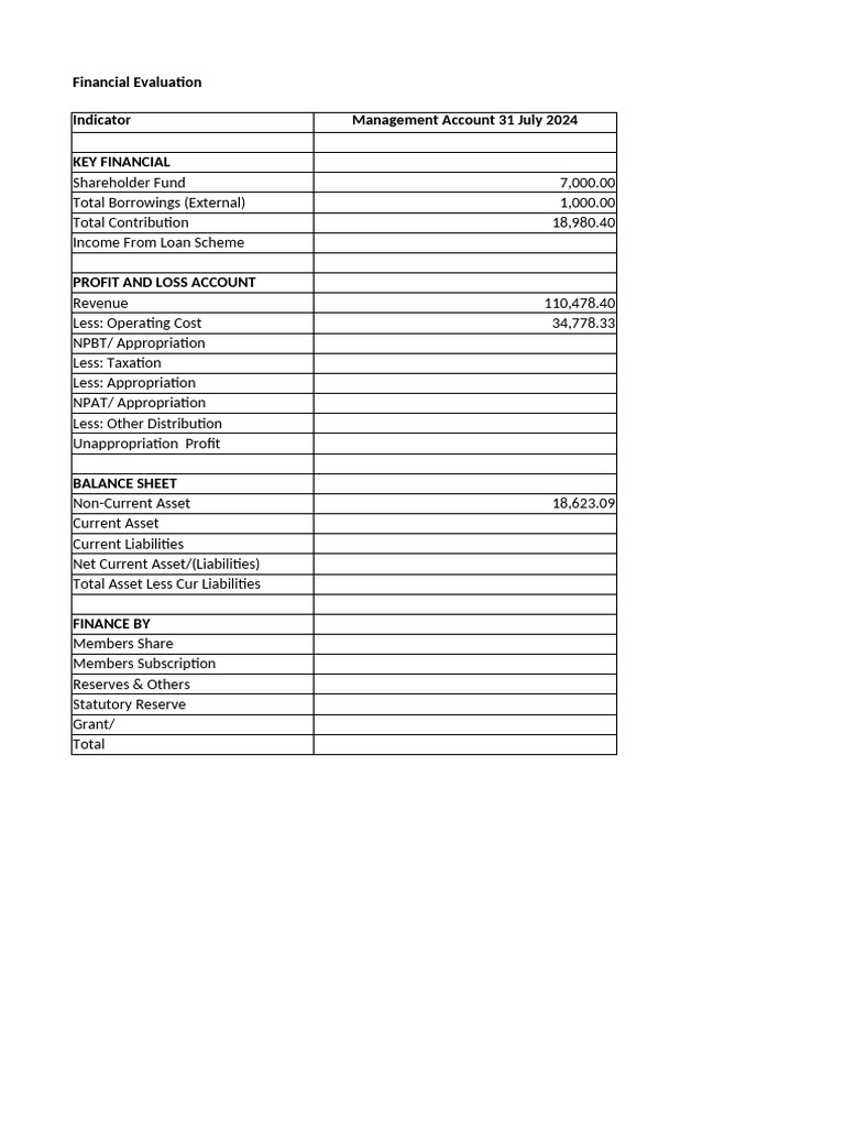 Financial Evaluation Report July 2024 | PDF