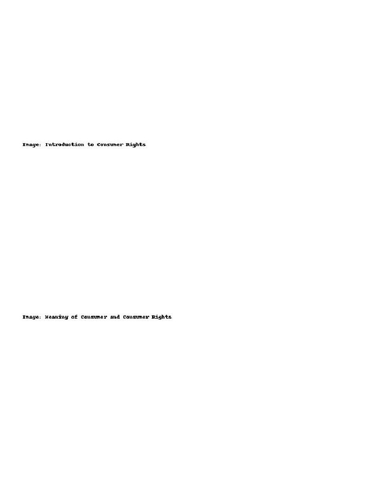 Consumer Rights Project Overview | PDF
