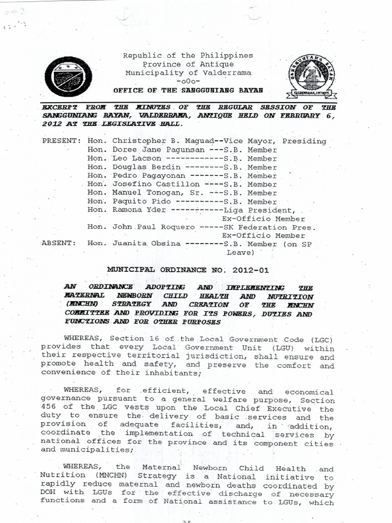 Municipal Ordinance No. 2012-01 MNCHN Strategy | PDF