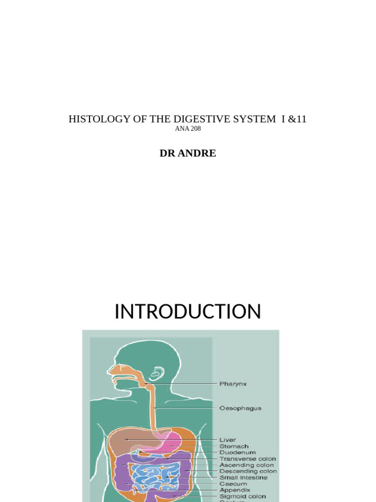 Histology of The Digestive System I | PDF | Stomach | Esophagus