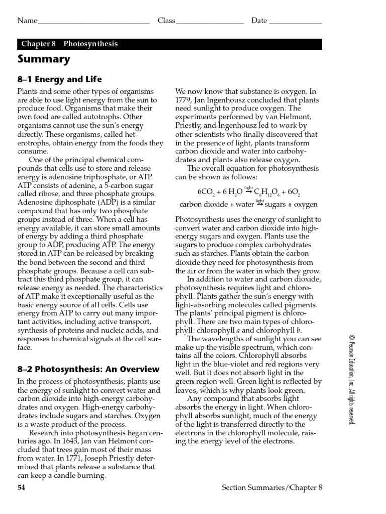 Overview of Photosynthesis Process | PDF | Photosynthesis | Chloroplast