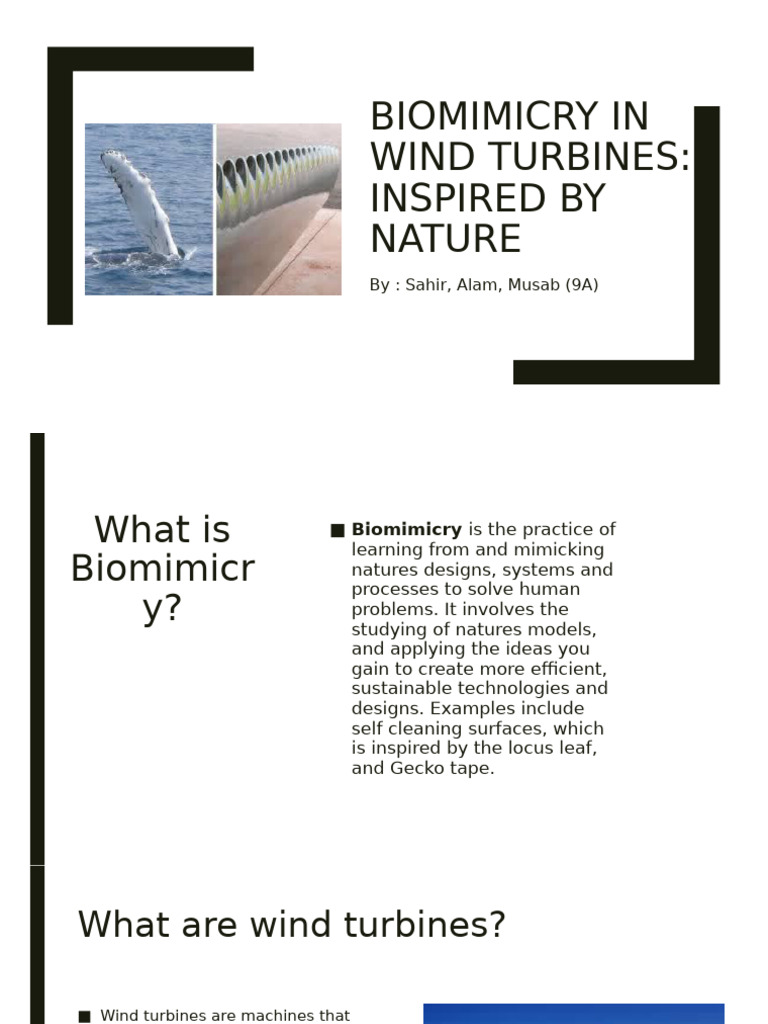 Biomimicry Enhances Wind Turbine Design | PDF | Wind Turbine ...