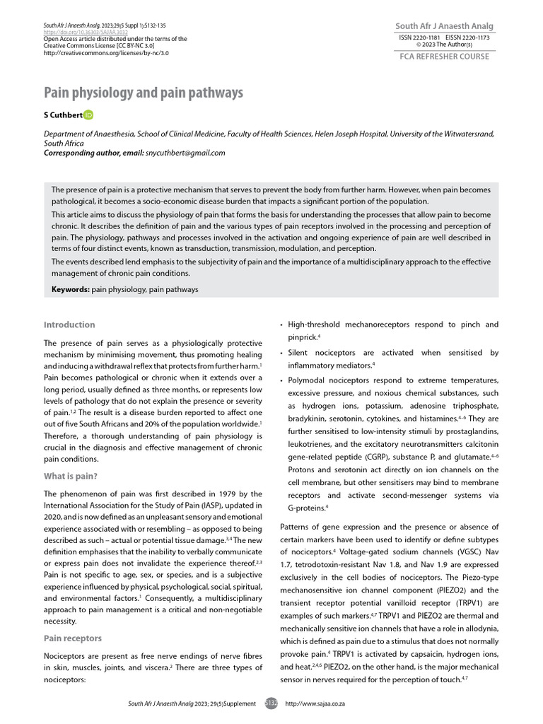 Understanding Pain Physiology and Pathways | PDF | Neuron | Axon