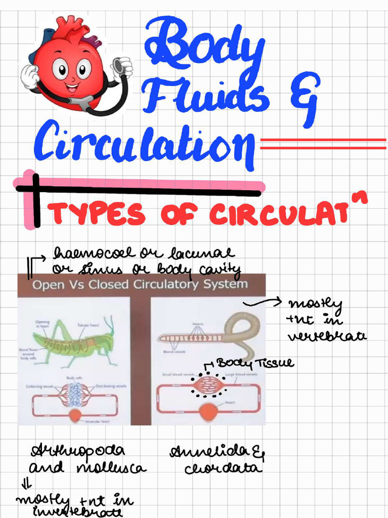 Body Fluid and Circulation Handwritten Notes - 582 - 1706525832192 | PDF