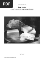 Download Soap Notes by Sally Pointer SN87961847 doc pdf