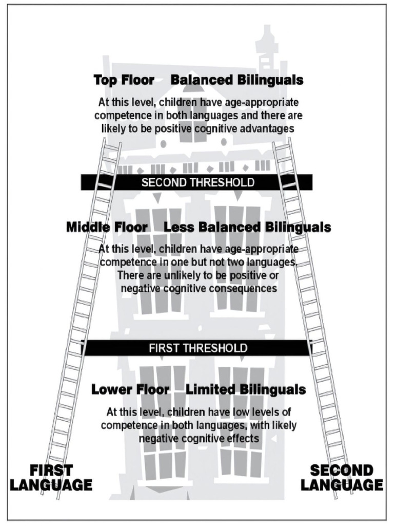 Threshold Model | PDF