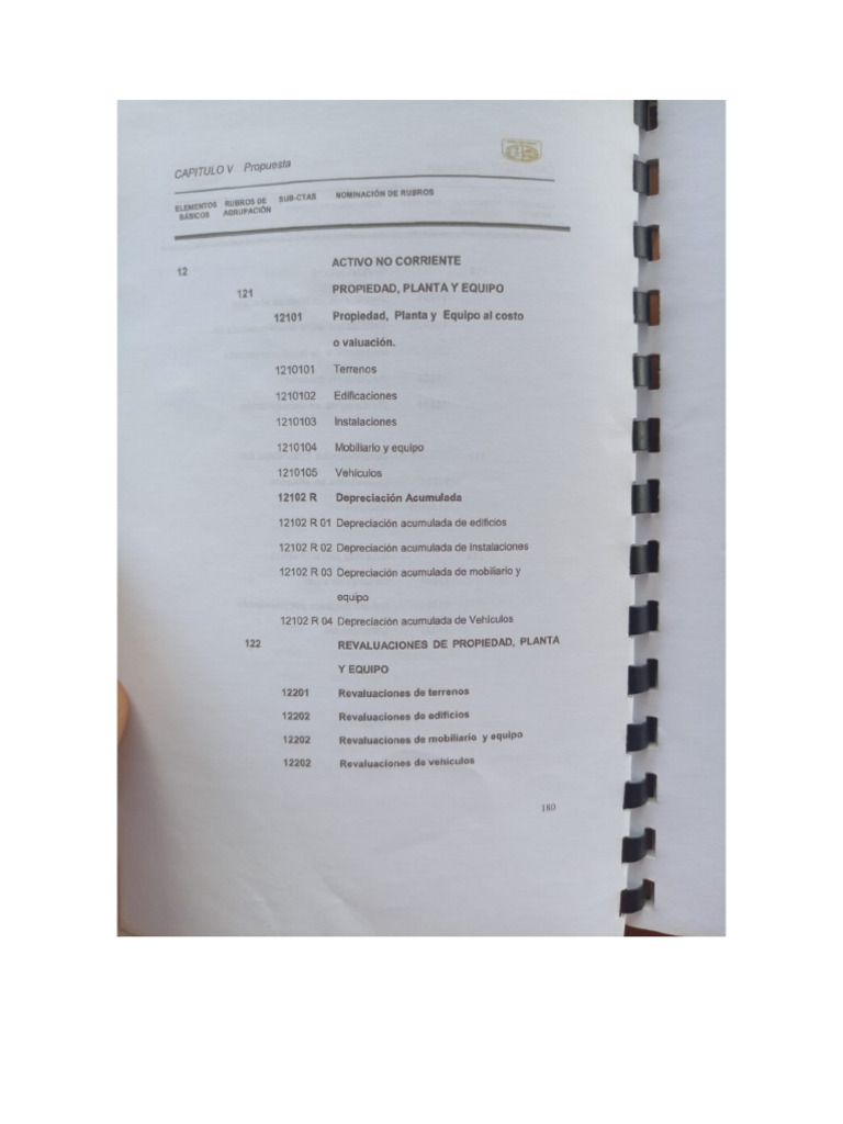 Catalogo | PDF
