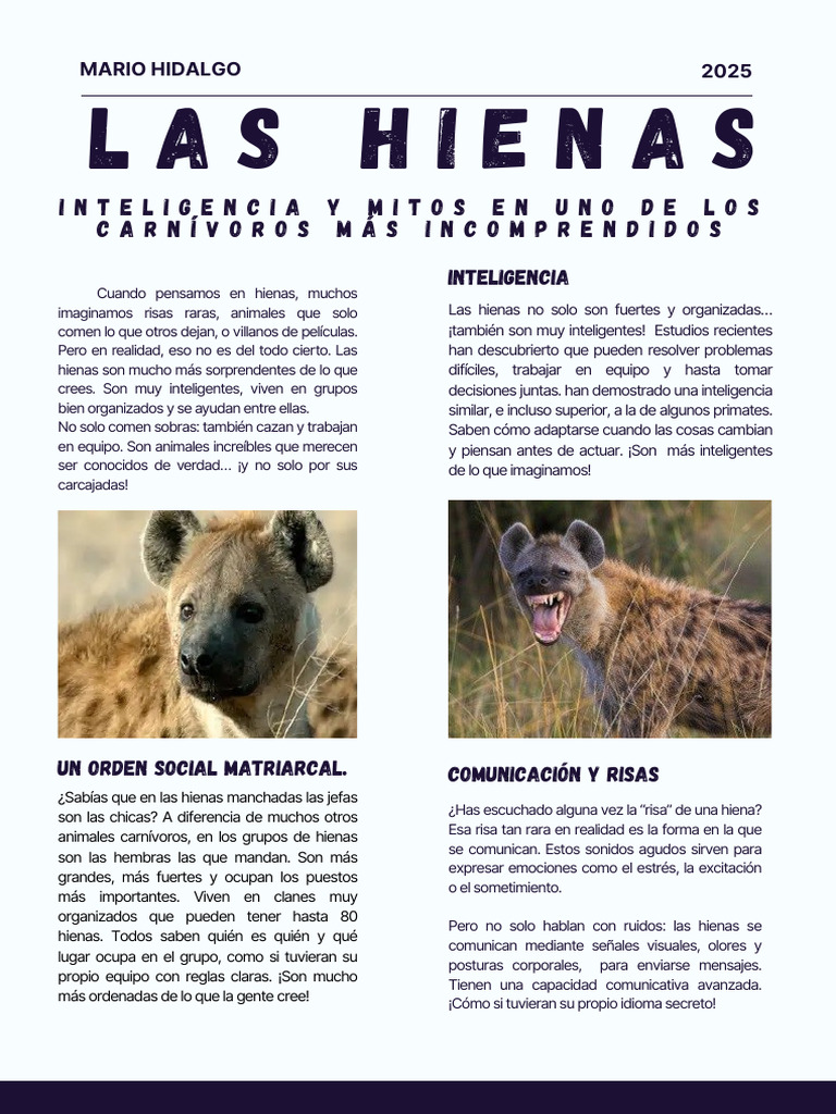 Hienas: Inteligencia y Liderazgo Femenino | PDF