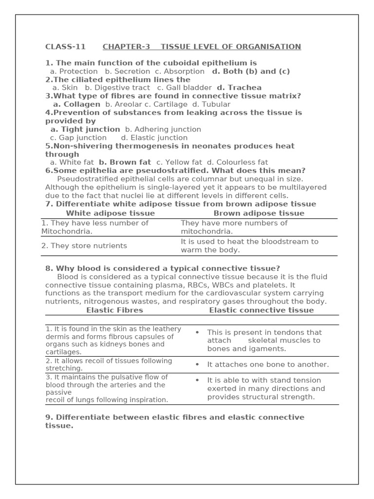 Tissue Level of Organisation in Biology | PDF | Epithelium | Tissue ...
