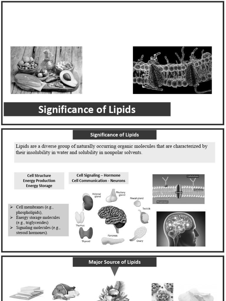 Biological Significance of Lipids | PDF | Cholesterol | Lipid