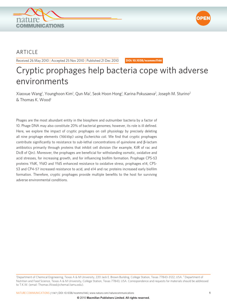 Cryptic Prophages Enhance E. coli Survival | PDF | Escherichia Coli ...