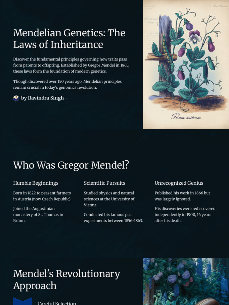 Mendelian Genetics The Laws of Inheritance | PDF