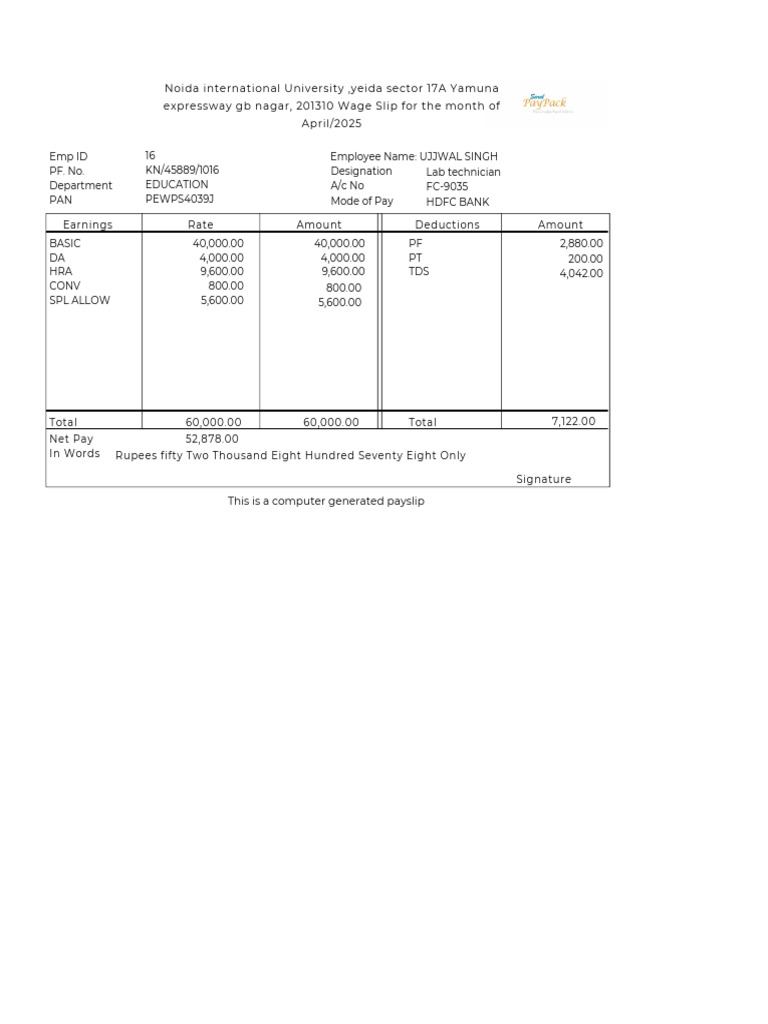 Payslip Format 1 PDF | PDF