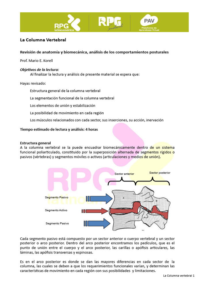 Anatomía y Biomecánica de la Columna Vertebral | PDF | La columna ...