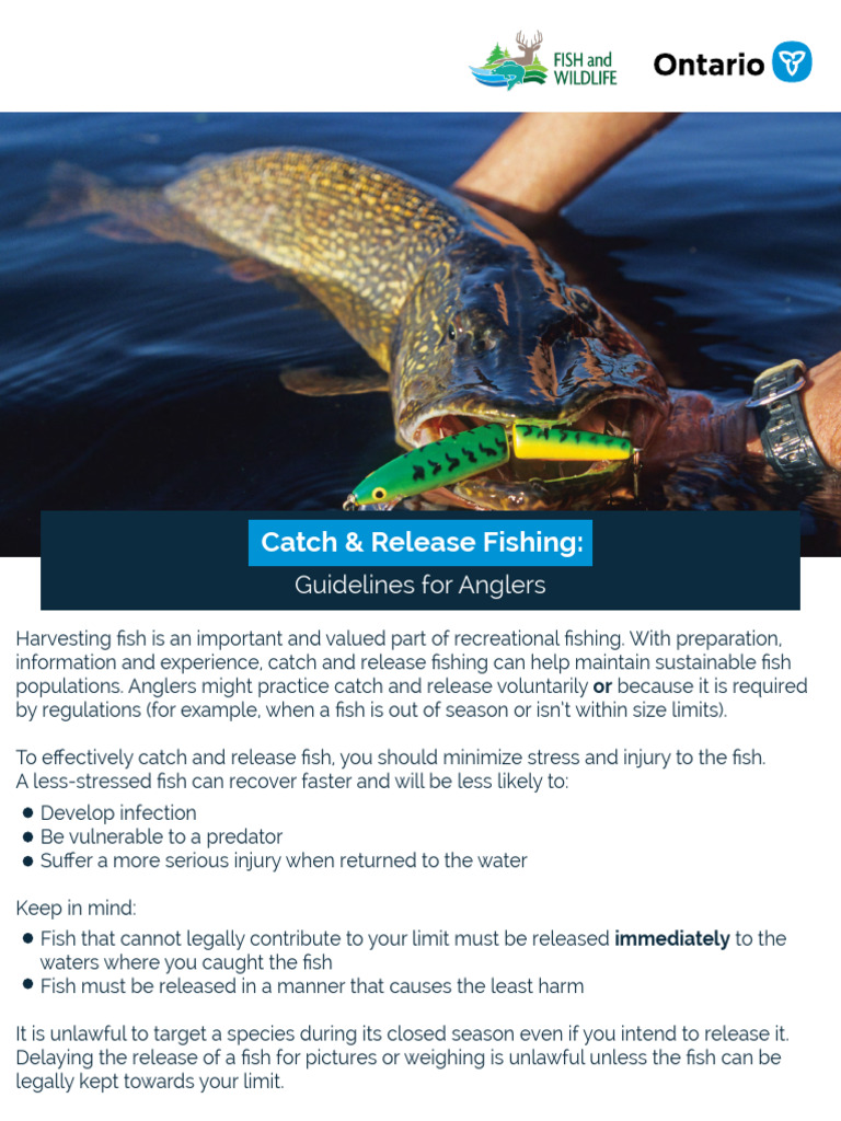 MNRF Catch Release Fishing Guidelines Anglers en 2021 03 22 | PDF ...