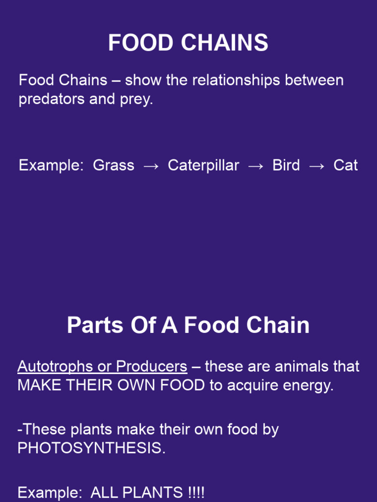 Understanding Food Chains and Types | PDF