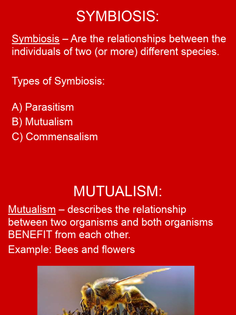 Types of Symbiotic Relationships Explained | PDF