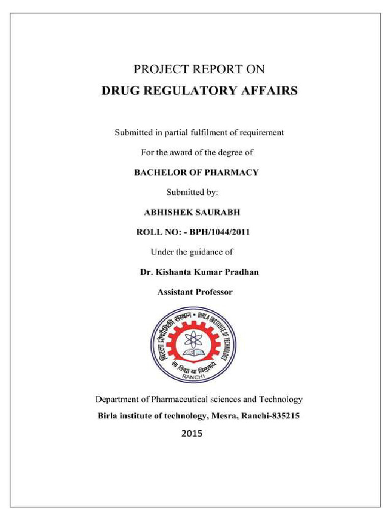 B Pharm Project | PDF