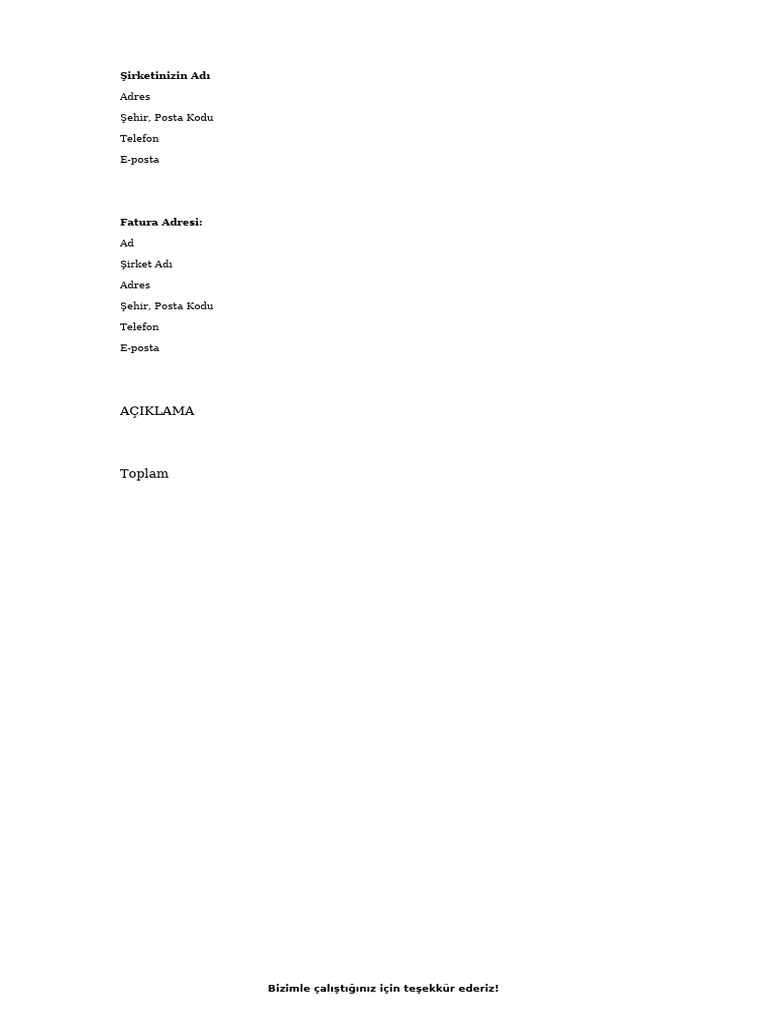 Basit Fatura | PDF
