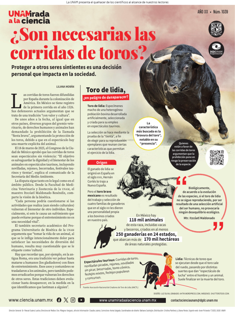 Son Necesarias Las Corridas de Toros | PDF | Vacas | Toreo