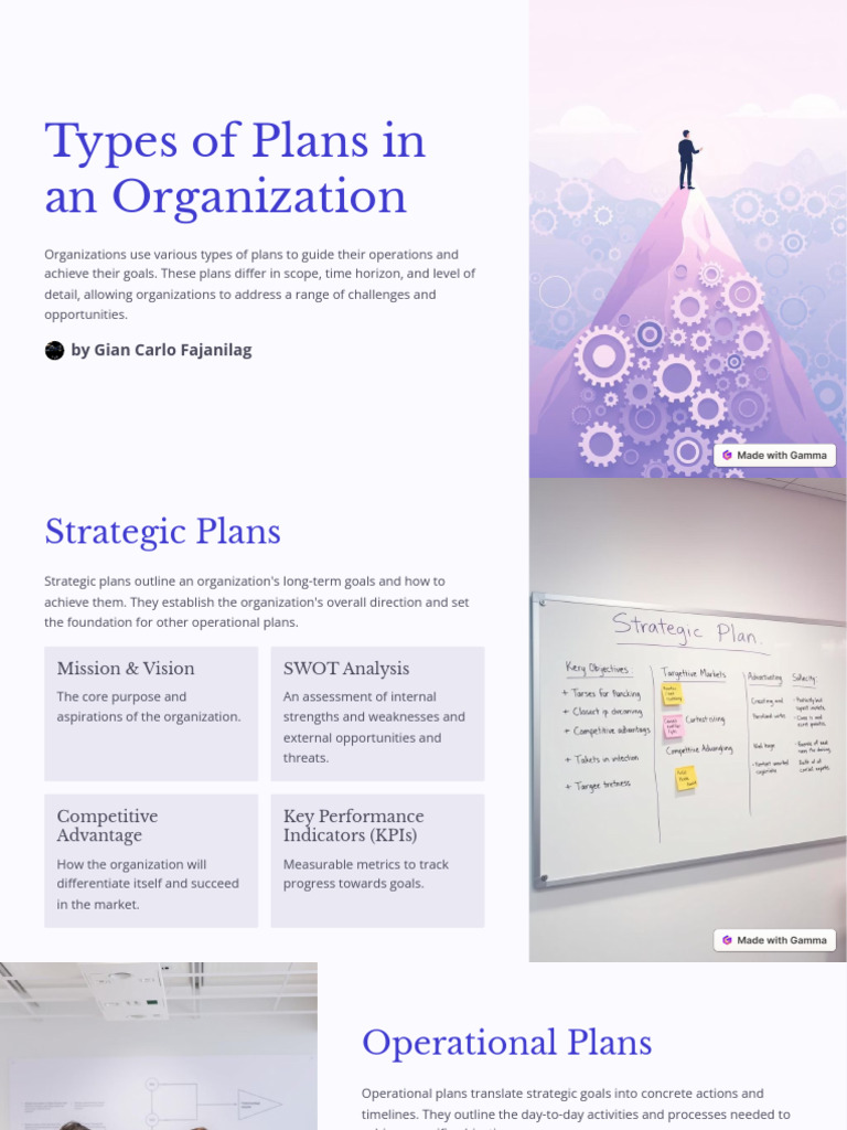 Types of Plans in An Organization | PDF | Performance Indicator | Goal