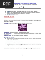 Download VDRL by QUIMICO CLINICO WILLIANS SANCHEZ SN8797760 doc pdf