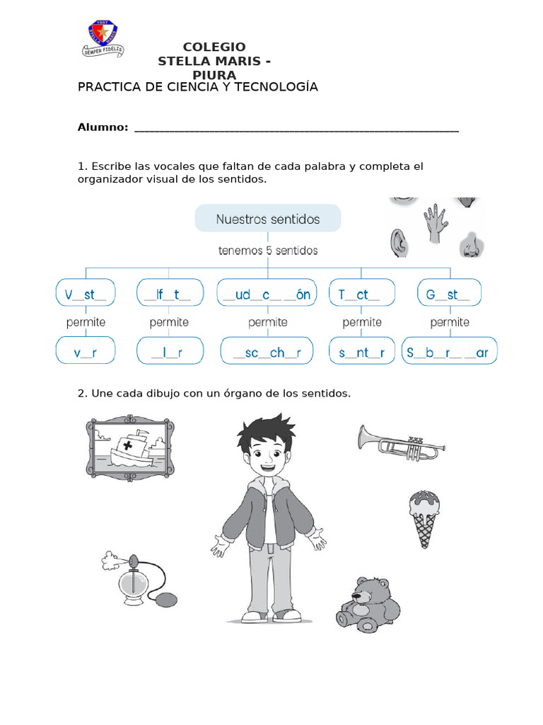 Ejercicios sobre los sentidos para 1° grado | PDF