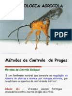 Entomologia Agricola Aula 3