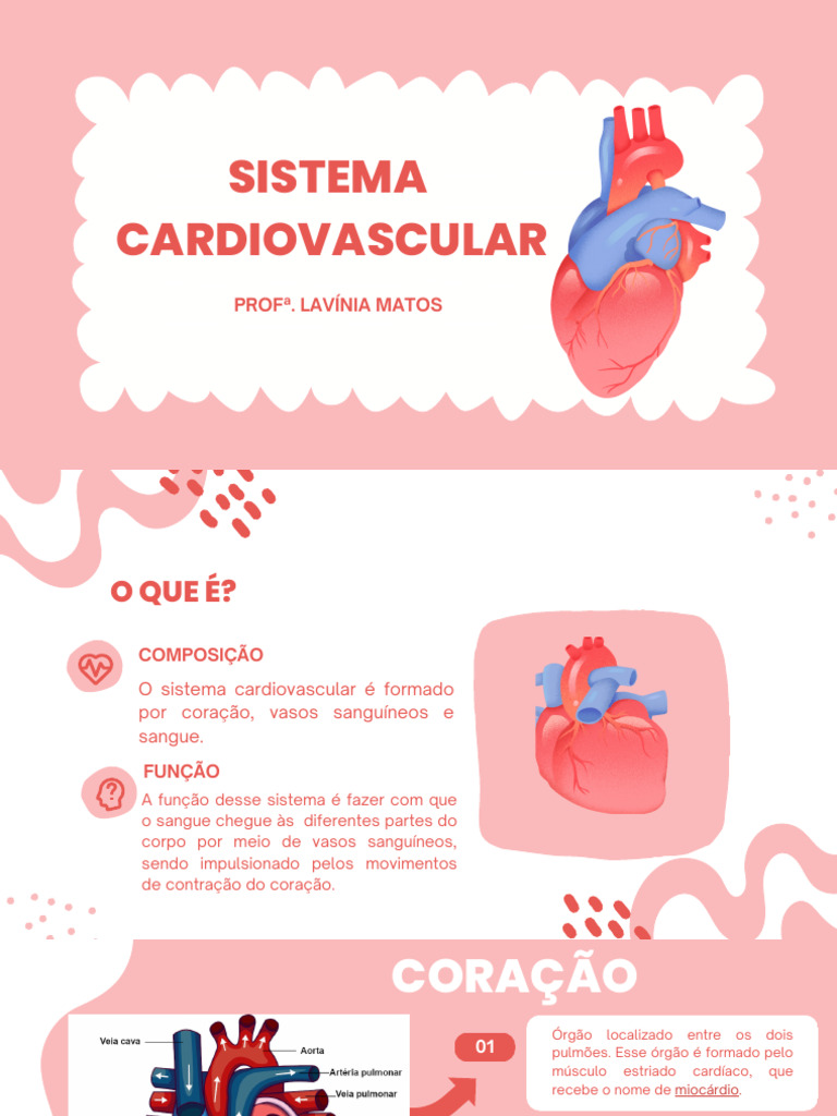 Funções e Estrutura do Sistema Cardiovascular | PDF | Sistema ...