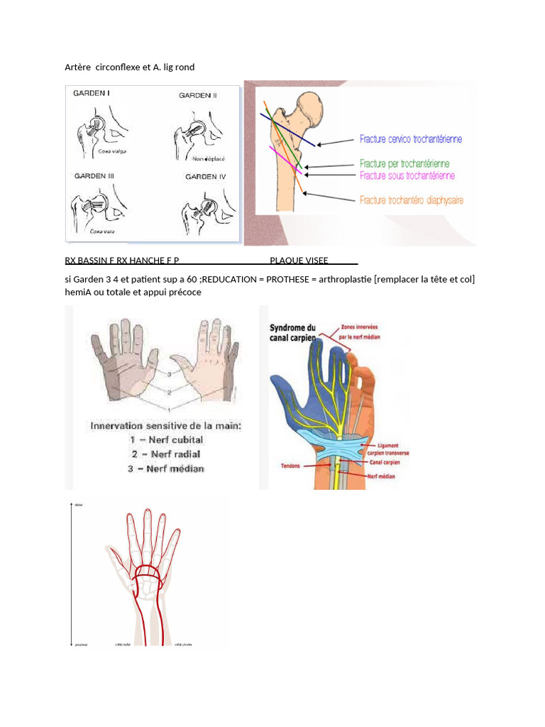 Gestion des fractures et luxations orthopédiques | PDF | Jambe humaine ...