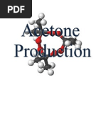 Download Acetone Production Report by pravalchauha SN87981824 doc pdf