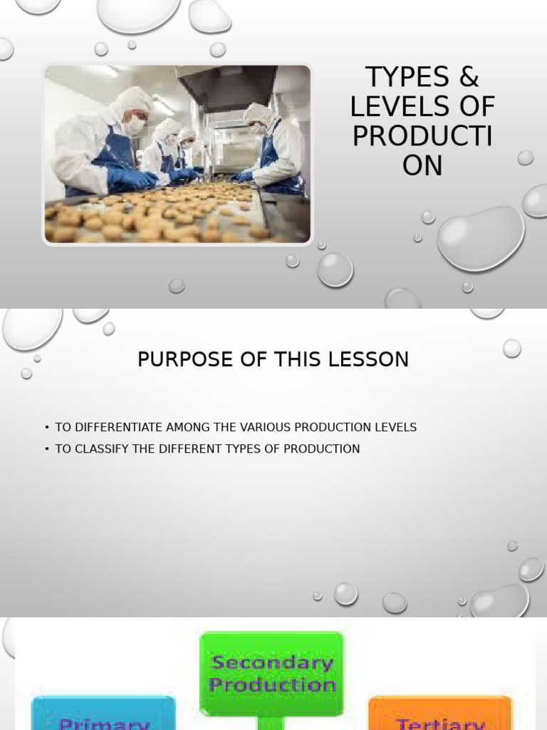 Types and Levels of Production Explained | PDF | Agriculture | Petroleum