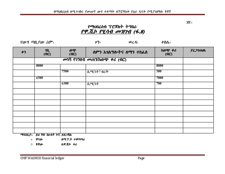 CMP WASHCO Financial Ledger | PDF