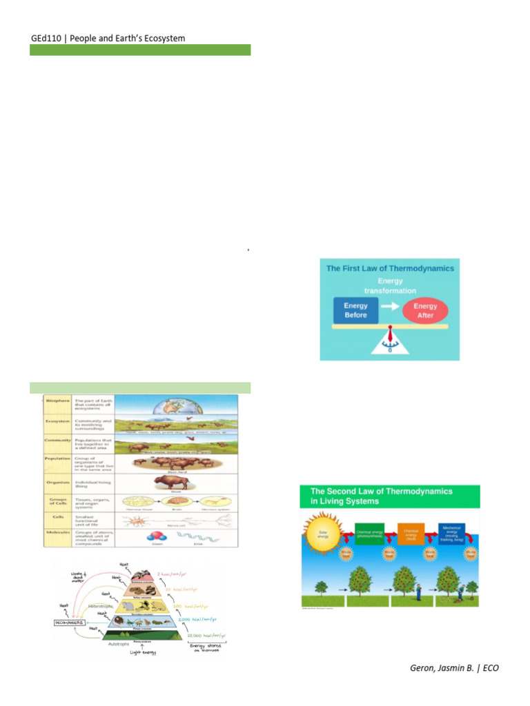 Human Impact on Ecosystems Explained | PDF | Climate Change ...