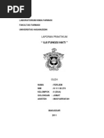 Download Laporan Faal Hati Ferlim by Ferliem Halim SN87986836 doc pdf