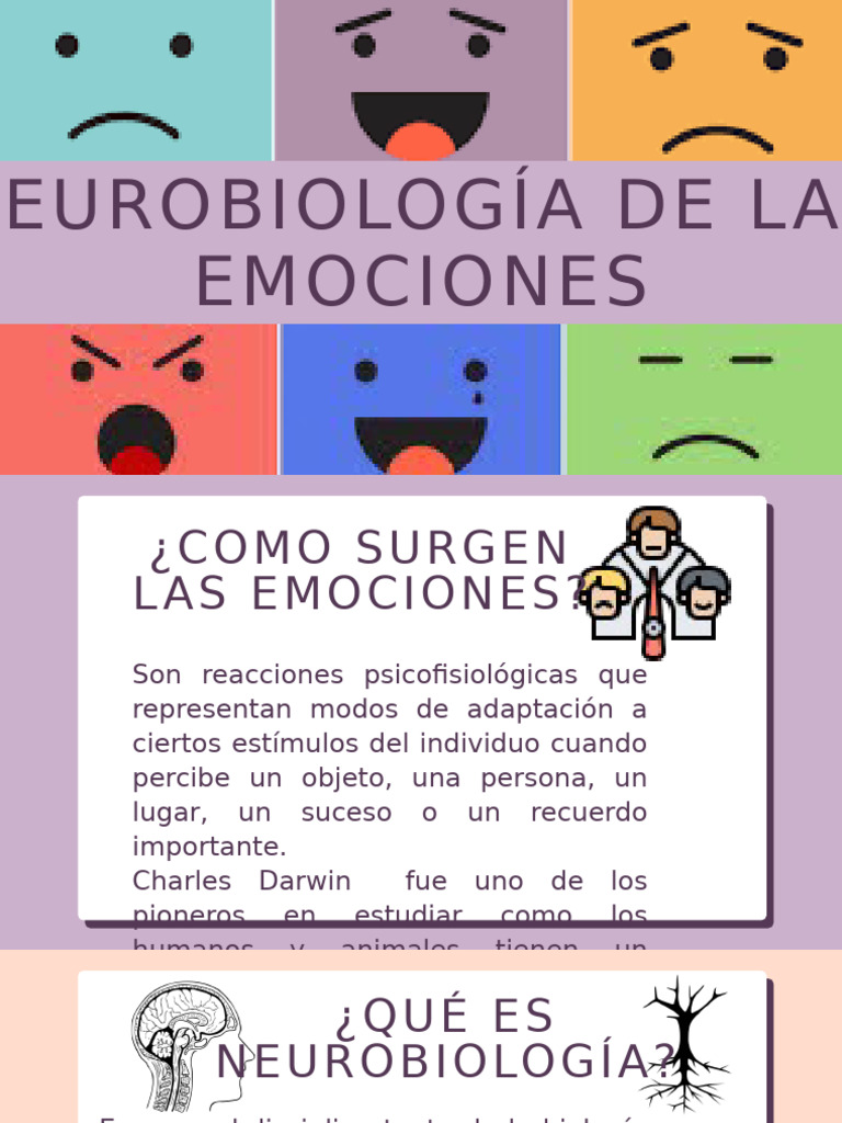 Neurobiología y funciones de las emociones | PDF | Las emociones ...