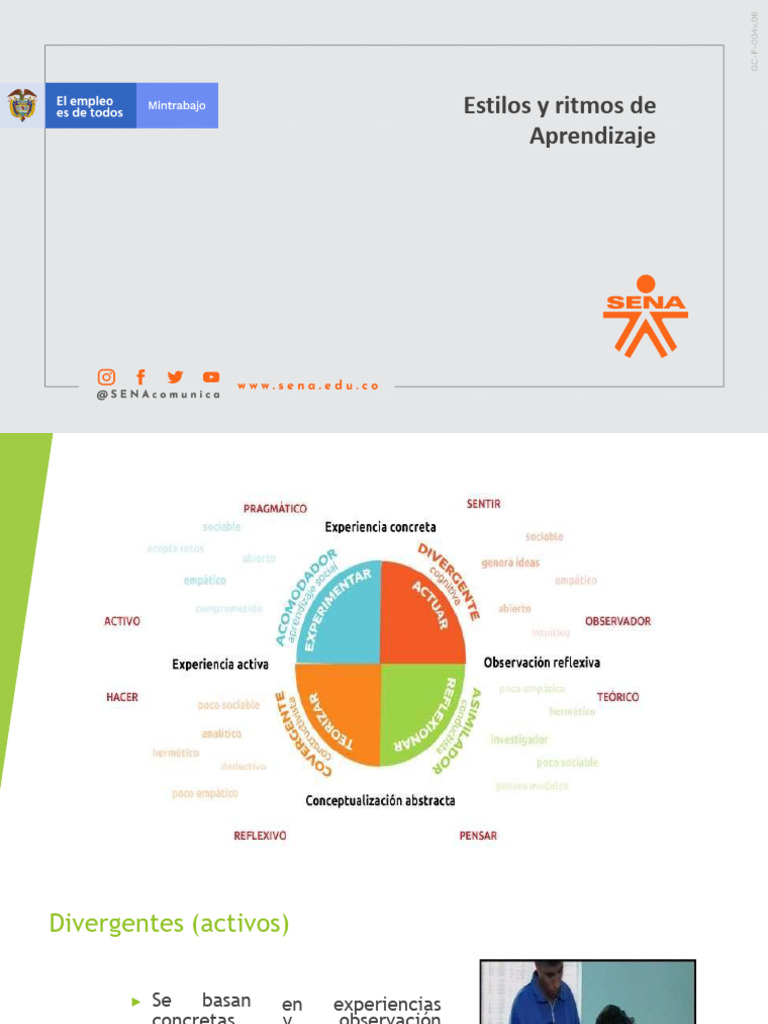 PRESENTACIÓN Estilos de Aprendizaje | PDF | Aprendizaje | Neurociencia