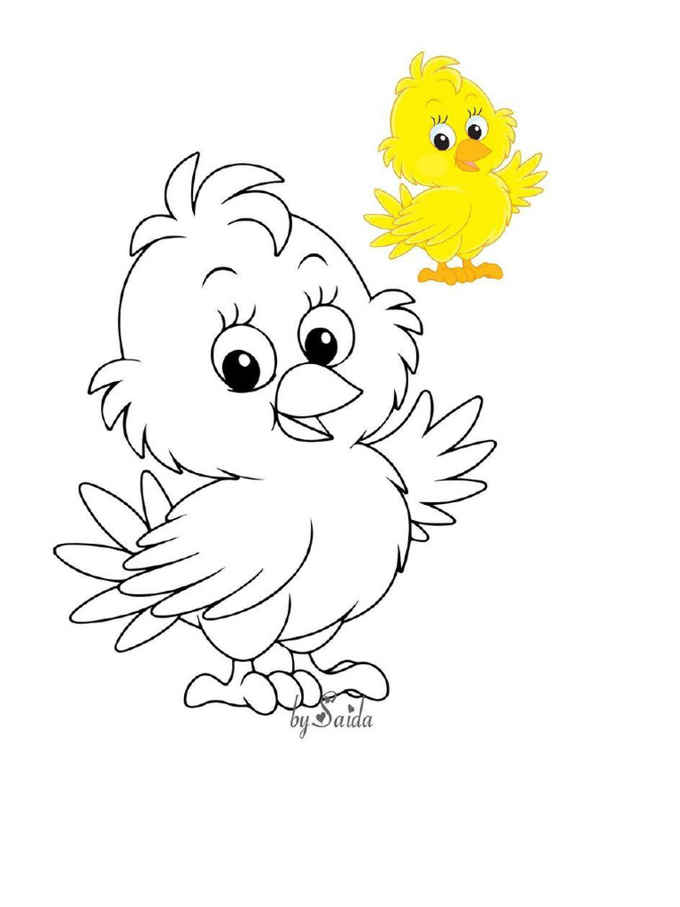 Pollito | PDF