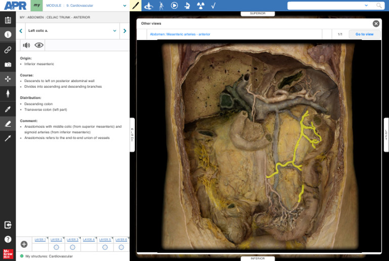 Anatomy & Physiology Revealed | PDF