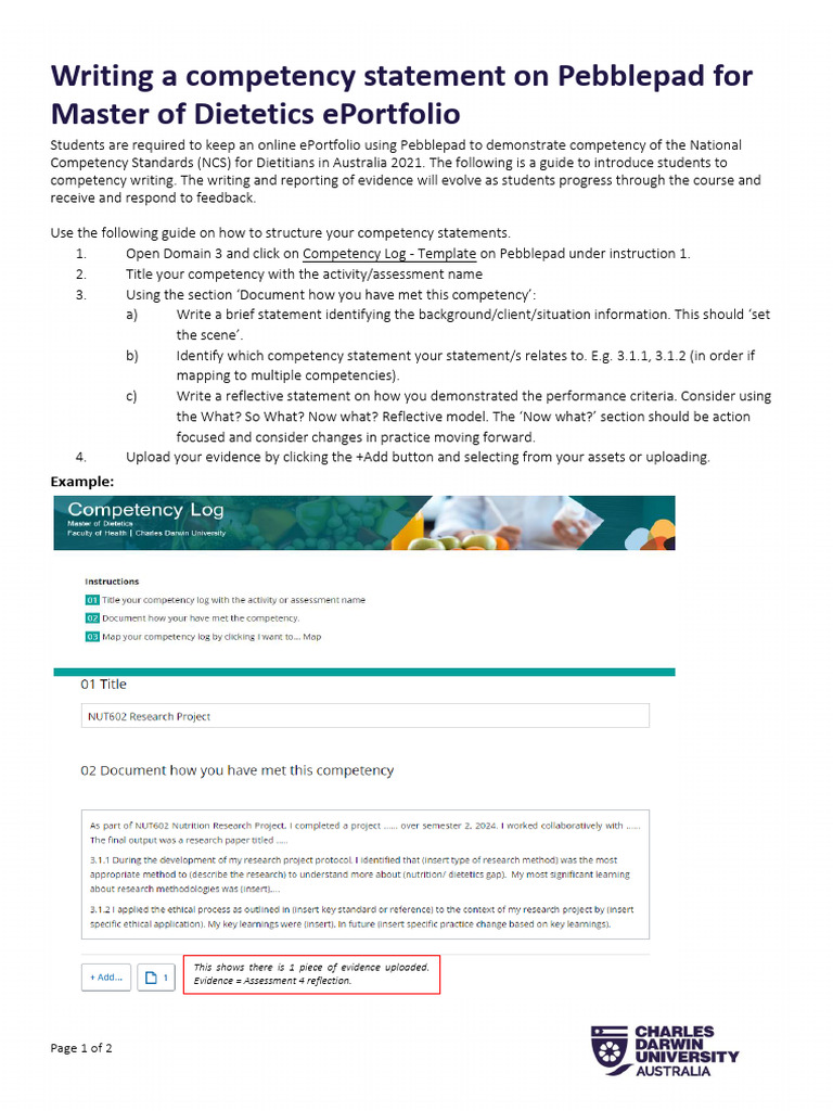 Guide to Writing Competency Statements | PDF | Dietitian | Chess Theory