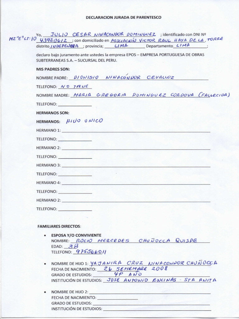 Declaracion Jurada de Parentesco | PDF