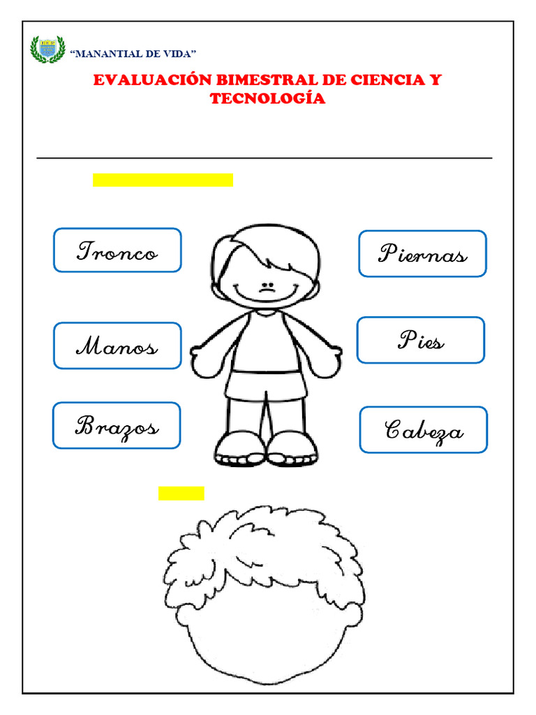 Evaluación Bimestral de Ciencia y Tecnología | PDF