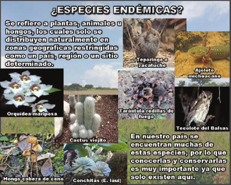 Especies Endemicas | PDF