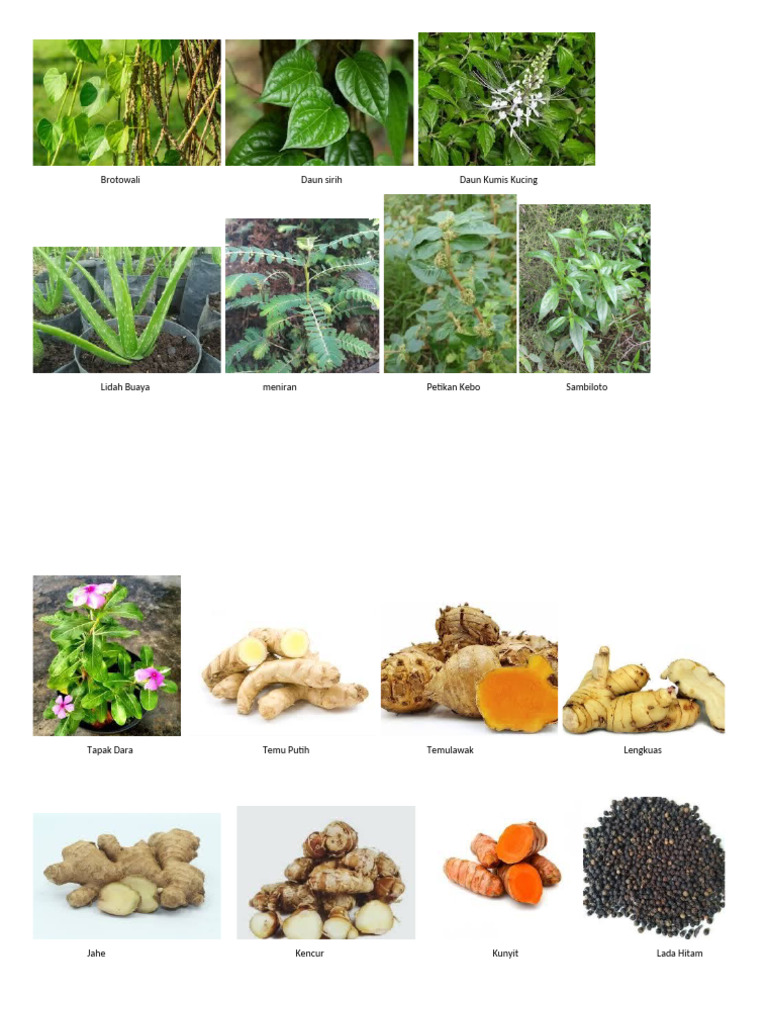 Uy qurilishi jinsiy aloqa mashinasi