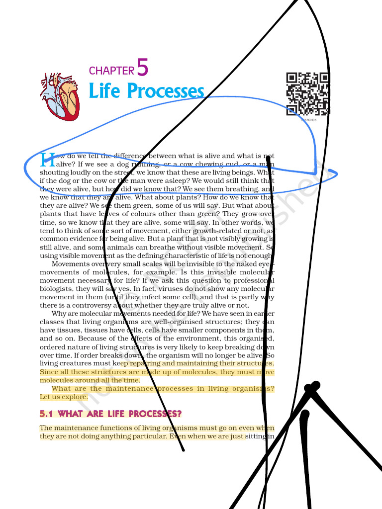 Understanding Life Processes in Organisms | PDF