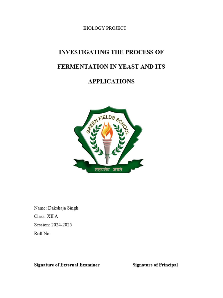 Yeast Fermentation Process Overview | PDF | Yeast | Fermentation