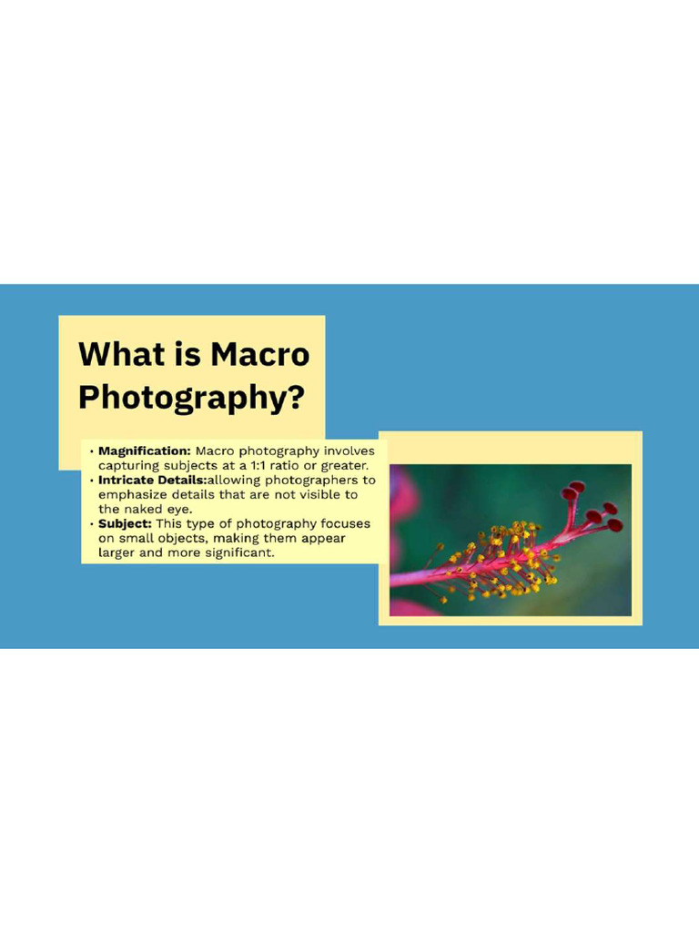 Macro Photography | PDF