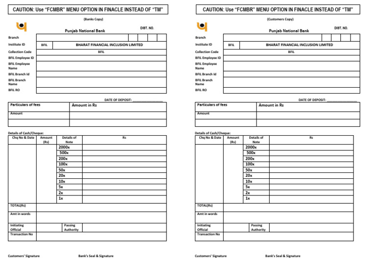 PNB Deposit Form for BFIL Transactions | PDF | Banks | Banking
