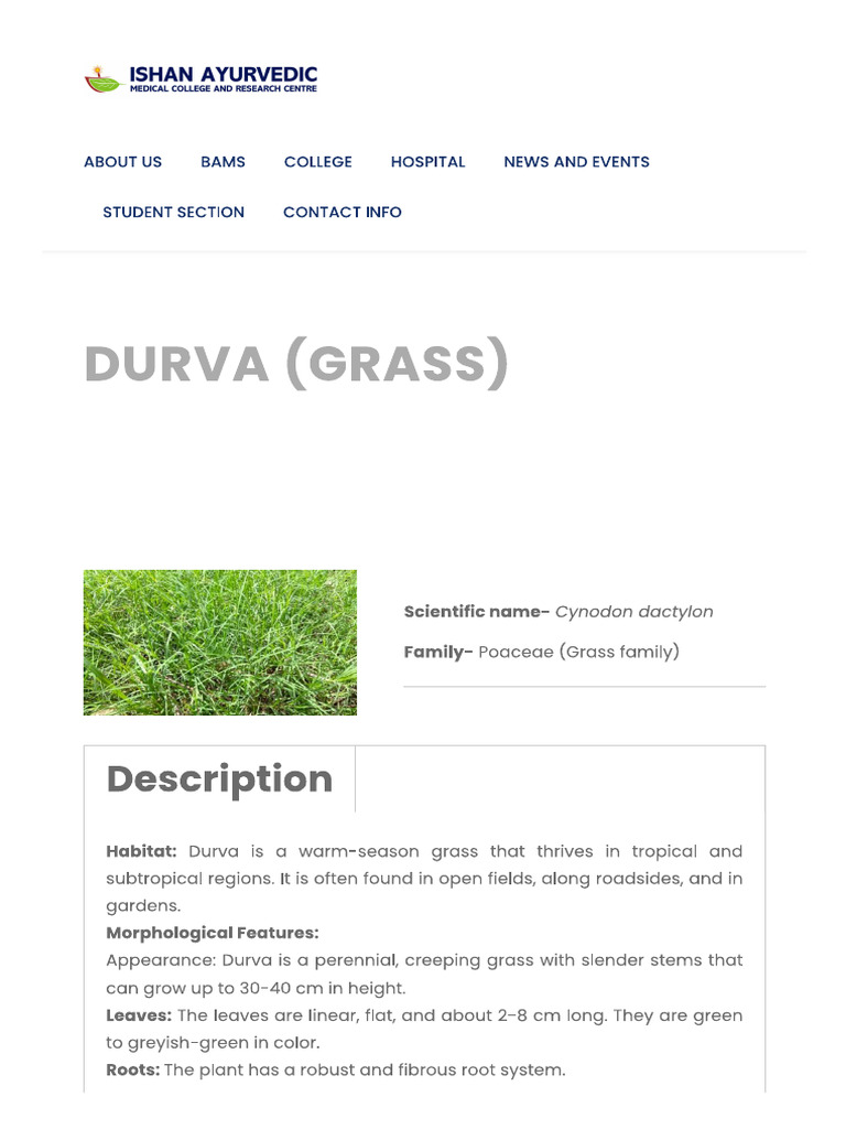 87 Durva | PDF